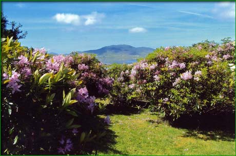 Achill Island County 
Mayo